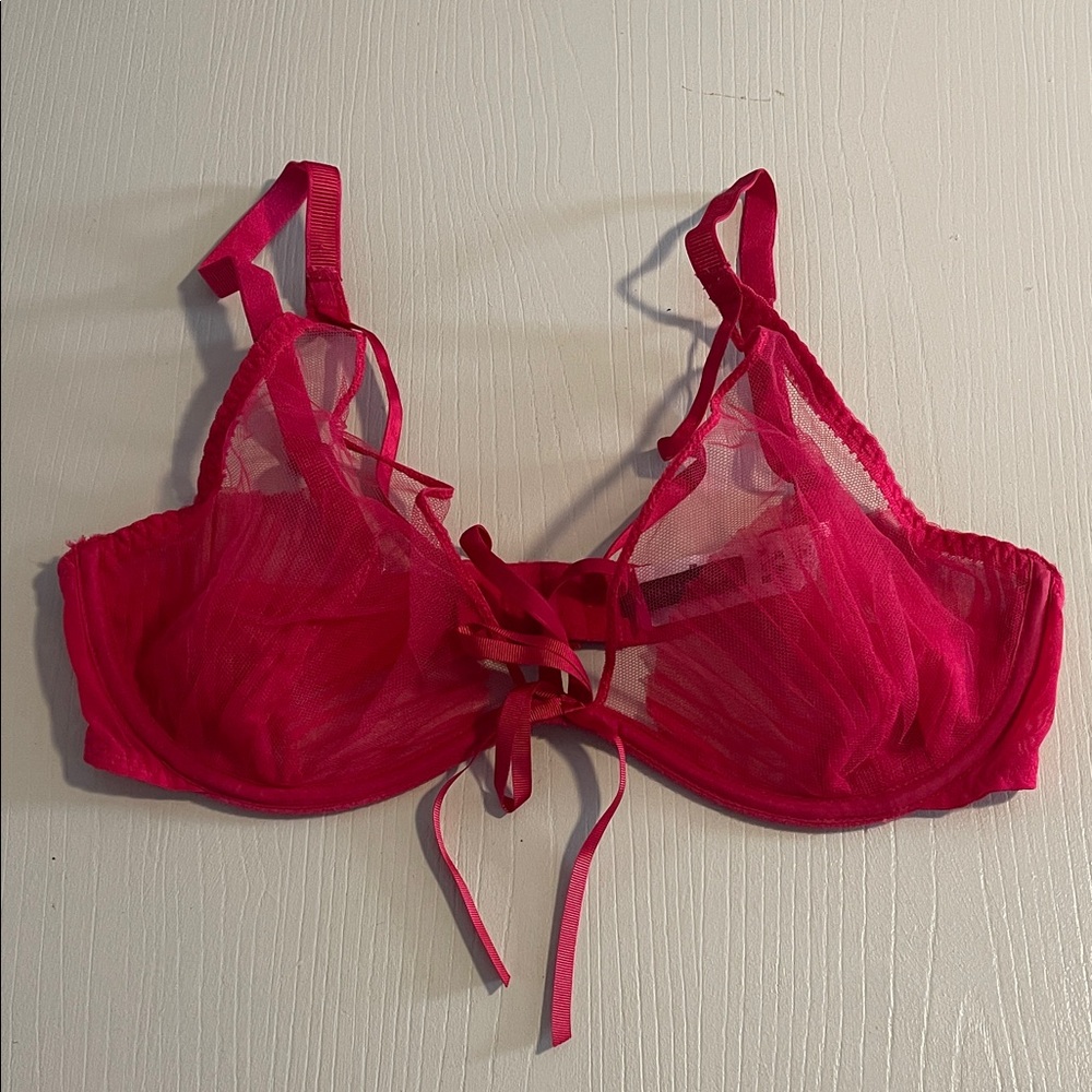 Passionata Red Sheer Bra- Size 34C